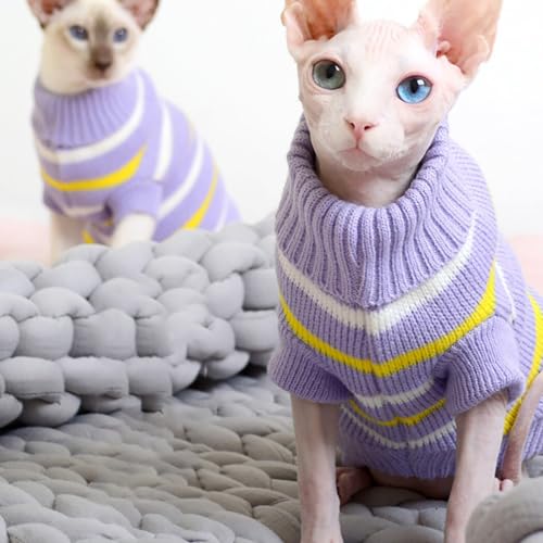 Roupa quente de gatinho de gola rolê aconchegante moda térmica lavável suéter bonito animal de estim