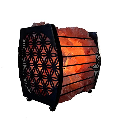 Mani Bhadra Lampe panier de sel de l´Himalaya Fleur de vie environ 3 kg