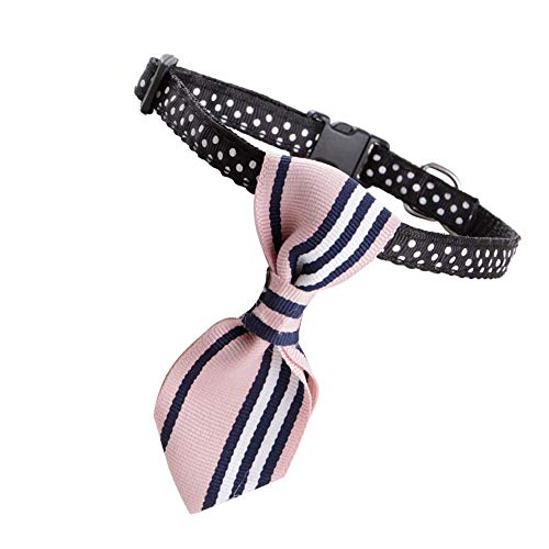 Collare di cane del gatto Papillon Pet Costume