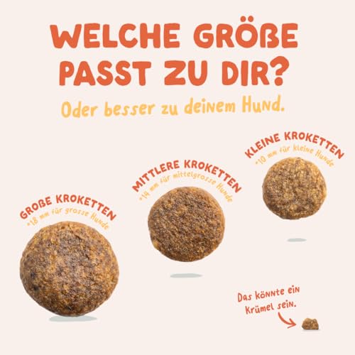 Edgard & Cooper Hundefutter trocken Getreidefrei für Medium Adult Hunde (7kg), frisches Huhn, ausgewogene Ballaststoffe für die Darmgesundheit, mit Apfel, Süßkartoffel und Grünkohl, nie Fleischmehl