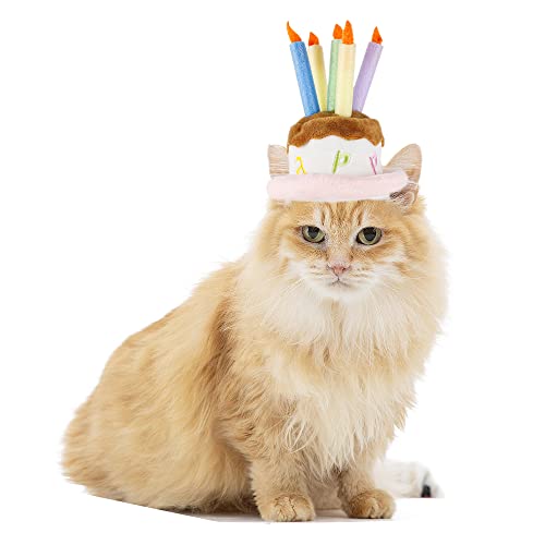 Sombrero de pastel rosa para cumpleaños de perro pequeño miniatura 4