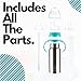Hamarue 3-in-1 Stainless Steel Sippy Cups for Toddlers | Non-Toxic Insulated Stainless Steel Baby Bottle | Straw Cup with Removeable Handles | Plastic Free Liquid Transfer (Teal, 6 oz)