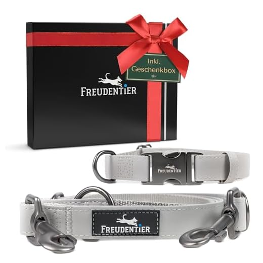 Supet Hundeleine Retrieverleine mit zugstopp Moxonleine Dauerhafte Weiche Geflochten mit Halsband Einstellbar Retriever Leinen für Kleine Mittlere und Große Hunde 3 FREUDENTIER® Hundeleine (2m) und Hundehalsband aus veganem Leder im Set | Black Edition inkl. Geschenkbox | 3-Fach verstellbare Leine | Das Original
