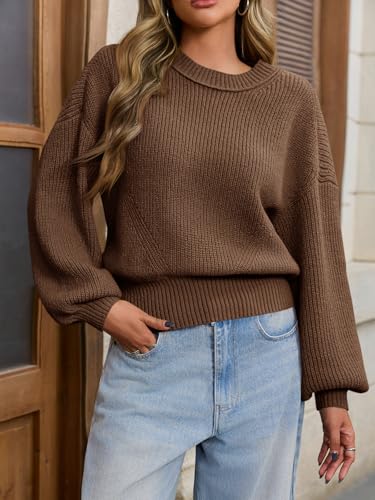 Image of Saodimallsu Womens Batwing Long Sleeve Sweaters Casual Crewneck Loose Chunky Knit Fall Pullover Tops