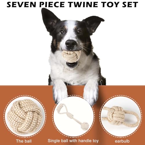 6 Stück Hundespielzeug Welpen, Welpenspielzeug Set Kauspielzeug Hund aus Baumwolle Spielzeug für Hunde, Hundespielzeug Unzerstörbar, Interaktives Welpen Spielzeug Robust für kleine & mittelgroße Hunde