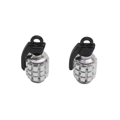 cyclingcolors 2 x Universal Valve Caps for Car, Motorcycle, Scooter and Schrader Bike, Silver