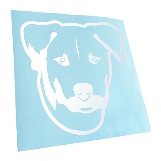 Kiwistar Autoaufkleber für Fahrzeug stylisch