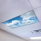 Magnetic Fluorescent Light Cover for Ceiling Lights Classroom 2x4 - High Resolution Magnetic Office Light Filter (Pack of 1) - Improve Focus, Eliminate Headaches & Eyestrain - Cloud