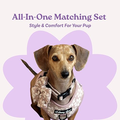 Large Dog Collar and Harness Set – No Pull, All-Weather, Breathable Harness & Leash Set with Collar, Bandana, Sailor Bow & Poop Bag Holder – Adjustable & Soft - Cocoa Bloom on Jacquard Fabric - Image 3
