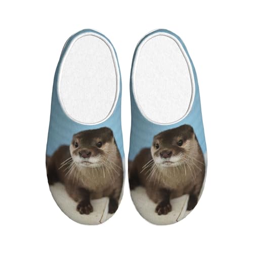 Chaussons loutre en peluche EdWal d'hiver chauds et antidérapants pour homme et femme Noir 39 EU
