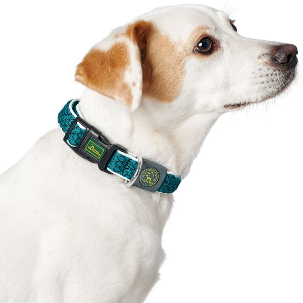 HUNTER Hundehalsung HILO VARIO BASIC, Farbe: orange, innovatives 3D-Mesh-Material, atmungsaktiv, leichter Kühleffekt bei Wärme, reflektierend, stufenlos verstellbar, angenehm leicht, Größe: M-L