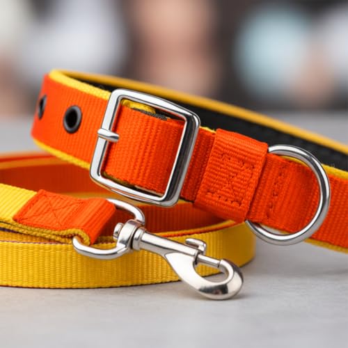 Image of Dog Leash with Padded Handle and Padded Collar Set | Adjustable Nylon Dog Collar & Heavy Duty Leash with Strong Metal Clip | Useful for Small Medium Large Dogs (Orange & Yellow)