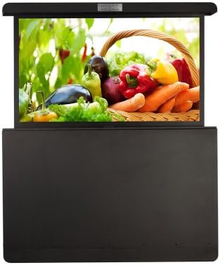 medialifTV Weatherproof Automated 55-Inch TV Lift Enclosure, Medium Rear Mount, Texture Black