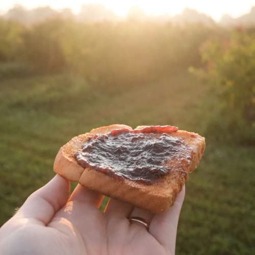 Norm's Farms Black Elderberry Jam - Whole Fruit With Cane Sugar - Ginger Pecan, Elderberry, And Blueberry - Gluten Free, Non-Gmo, Vegan - 3 9 Oz. Jars #TOP1