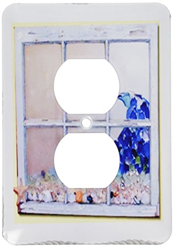 Fenêtre de Seaglass plaque double prise pour masquer les fixations murales