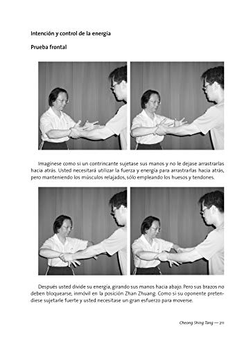 El camino del yiquan