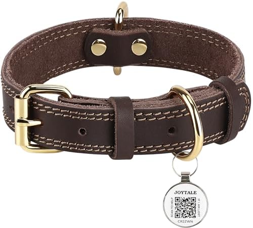 Collare Per Cani In Pelle Con Feltro Interno Con Borchie - Foto 8