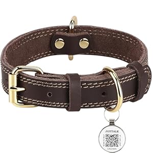 Joytale Leather Dog Collar with QR ID Tag, Soft Genuine Leather Dog Collar Durable and Adjustable for Medium Dogs, Brown, M