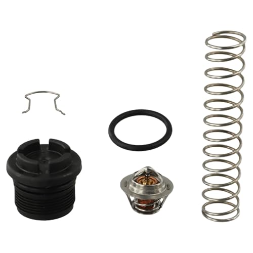 Tidevib - Tidevib Régulateur thermique 77707-0010 pour chauffage de piscine et spa, accessoire de rechange en métal et plastique