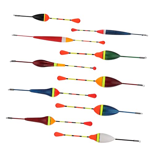 WESIEVYA ނpELZbg ނuC t[guC jh~f xCgXeBbN 10 qg