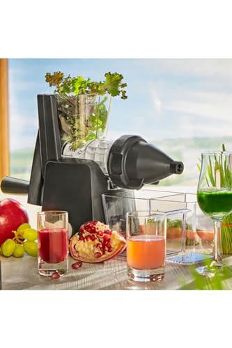 Lurch 200510 Base&Soul Slow Juicer – Manuelle Saftpresse