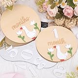 Goose Monthly Milestone Wooden Board - Wood One Funny Goose First Year Monthly Decoration, Baby Nursery Milestone Sign, Newborn 1-12 Months Record for Boys and Girls