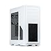 Case Phanteks Enthoo Pro con Finestra, Bianco
