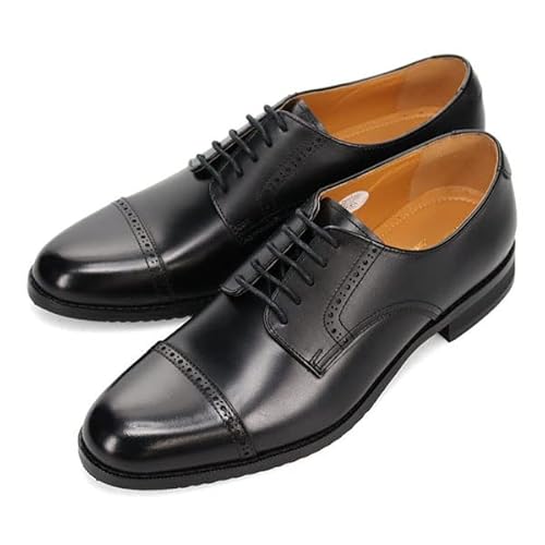 [}hX] BA J~[m via cammino OHXg[g`bvErWlXV[Y ubN 25.5