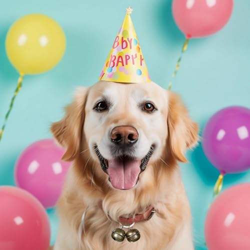 Oykrueats 3 Stück Glöckchen Haustier für Halsband,Katzenglocken Anti Verlust Metall,Kleine Glocke Halsband Anhänger,Laute Haustier Tracker Glocken,Tracker Glöckchen für Katzen Hunde Bell Glocken