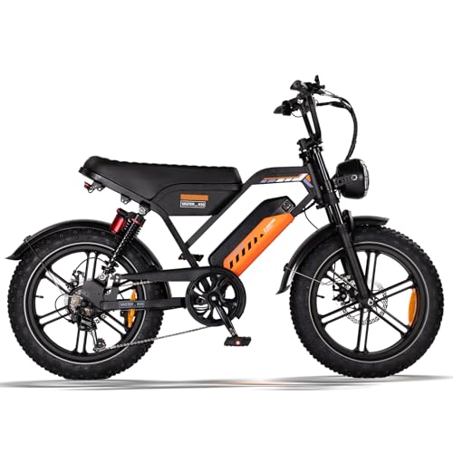 Bicicleta eléctrica para hombre de 20 pulgadas, bicicleta eléctrica, 250 W, 48 V, 15,6 Ah, autonomía hasta 75 km, neumáticos 20 x 4.0, 7 velocidades, frenos de disco, bicicleta eléctrica todo terreno