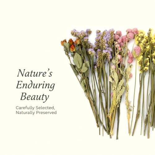 Image of Sukh Natural Hamster Bedding Sprays - Floral Forage Cage Accessories
