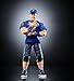WWE John Cena Exclusive Retirement Tour Collectors Edition Mattel Elite Collection Series 119 Wrestling Action Figure Toy