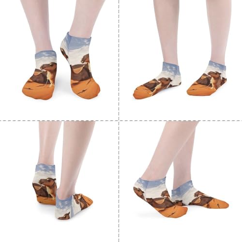 Camels Rest Desert Socks Low Cut Ankle Sock Short Socks Casual Socks Running Hiking Socks 5 Pairs Unisex4