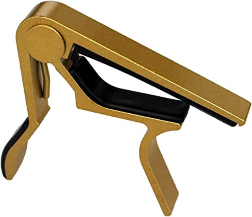 M^[J|^XgrrȂg₷R^̐݌vsbN߂郏^b`EN/AR[XeBbNM^[pJ|^XgColor-D