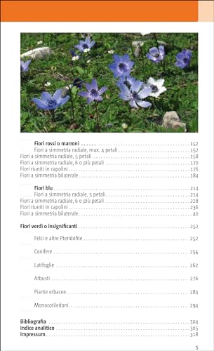 Flora Del Mediterraneo. Ediz. Illustrata - 4