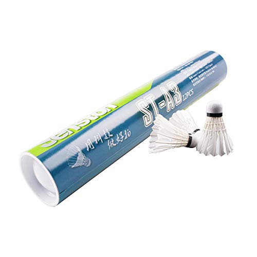 Top 10 Shuttlecock For Trainings of 2023 Best Reviews Guide