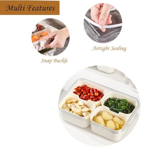 Image of 4-Compartment Spice Storage Container, Airtight Seasoning Box with Clear Lid & Locking Clips, Kitchen Condiment Organizer for Dried Herbs, Spices & Snacks