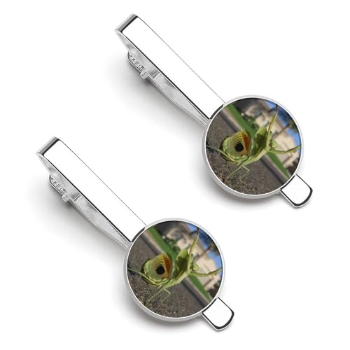 lN^Cs 2Zbg 킢 J}L ^CNbv   ߑANZT[ rWlX d   LO Ǝ w v[g