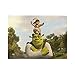 KIILAS Puzzle Shrek Fore-Ver Af-Ter, 500 pezzi, 20,5 ° x 15,1 ° C, spesso, pezzi robusti, attività impegnative in famiglia, ottima idea regalo