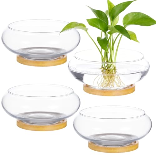 Image of SWEWARM 4 Pcs Lotus Bowl Planters with Wood Trays, 6 in Round Glass Vase for Hydroponics, Fish Bowl Design, Ideal for Home Decor, Wedding, and Party Centerpieces