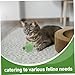 WOONEKY 2pcs Cat Scratching Post Replacement with Tail Rope Ball Interactive Cat Durable and Stylish Easy Installation for All