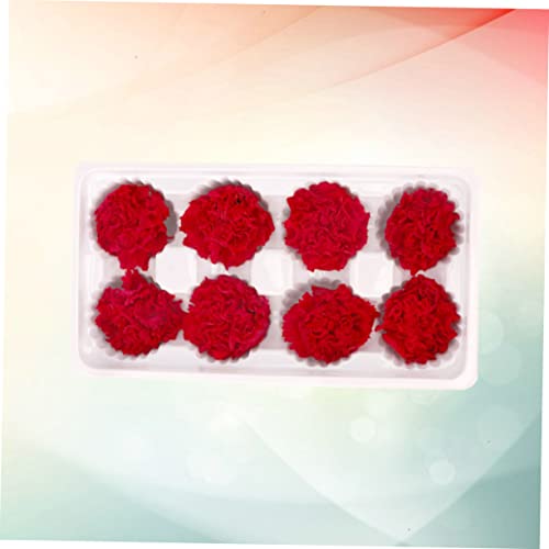 Zerodeko 2pcs Eternal Carnation Flores Secas para Ramo miniatura 5