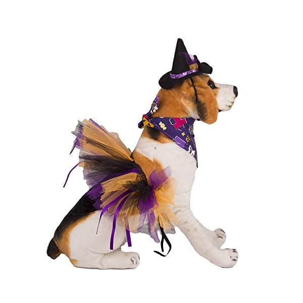 Adoggygo halloween dog costume, halloween dog bandana hat tutu set, purple dog halloween costume halloween hat bandana costumes for dogs pets - image 4