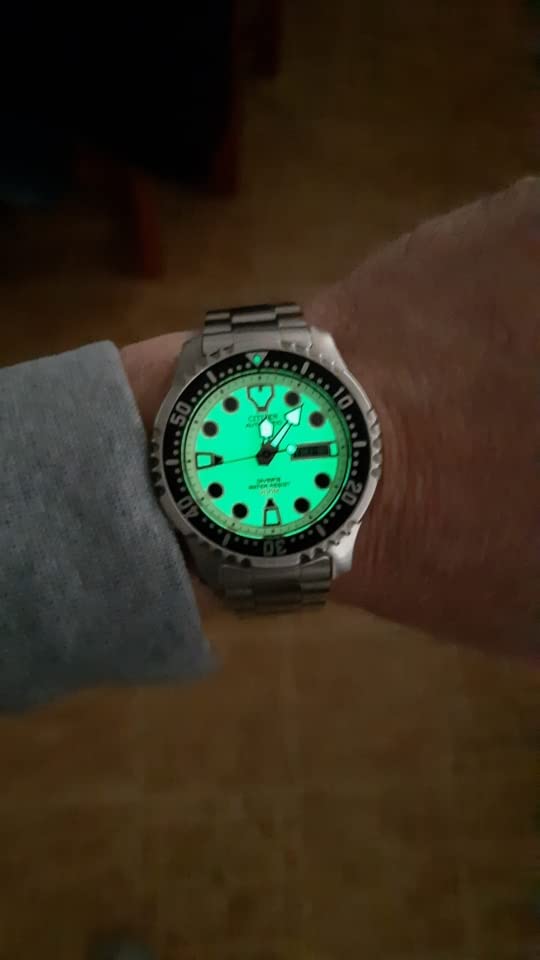 Citizen Promaster Automatic Divers NY0040 50W 200m Full Lume Dial