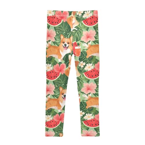 Summer with Dogs Girls Leggings,Workout Leggings for Girls Toddler Athletic Leggings Size for 3-10T2