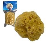 Awesome Aquatic Natural Sea Sponge Amazing Natural Renewable Resource