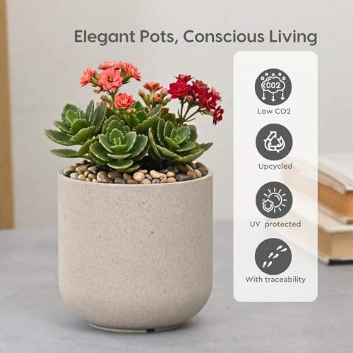 Image of Eha Earth-Friendly Terrapod Planters for Home Decor | 3.5 Inch, Pack of 6 | Small Plant Pot Made with Rice Husk Biocomposite | Flower Pot for Living Room | Sand Castle