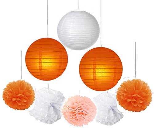 Fascola 16 pcs White Peach Orange 10inch 8inch Tissue Paper Pom Pom Paper Lanterns Mixed Package for Lavender Themed Party Bridal Shower Decor Baby Shower Decoration