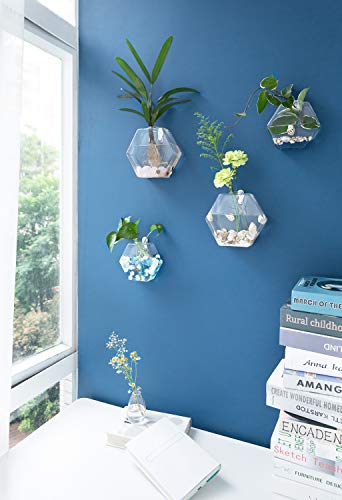 Mkono 2 Pack Wall Hanging Plant Terrarium Glass Planter for Home Office Christmas Decor, Hexagon Shape, Large
