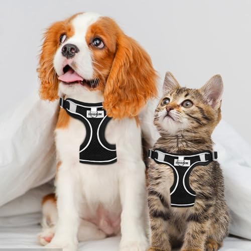 RAFIYU Anti Zug Hundegeschirr Kleine Mittelgroße Hunde, Atmungsaktiv Geschirr Hund Hundegeschirr Leuchtend, Welpengeschirr Leuchtgeschirr für Hunde, Sicherheitsgeschirr Hund Brustgeschirr (S)